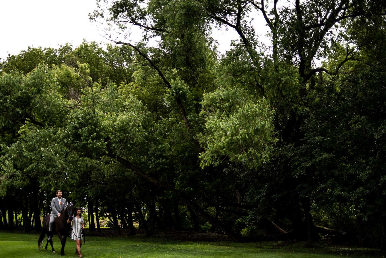 groom on horseback going to his backyard summer wedding