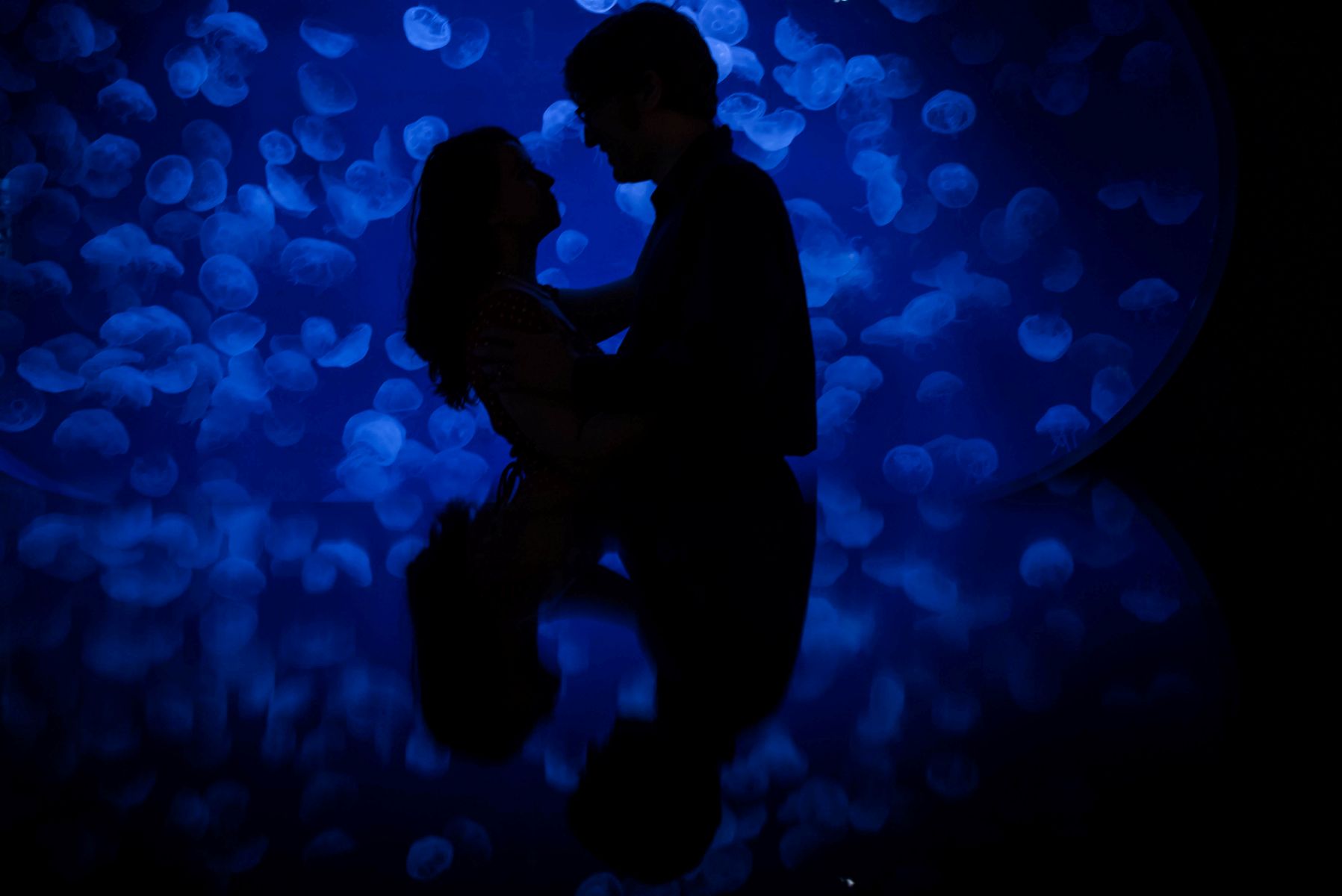 a couple taking engagement photos at the minnesota zoo next to jellyfish 